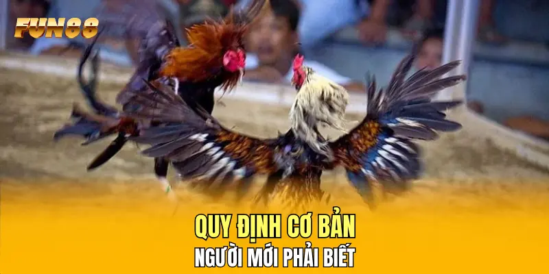Quy định cơ bản người mới phải biết Quy định cơ bản người mới phải biết