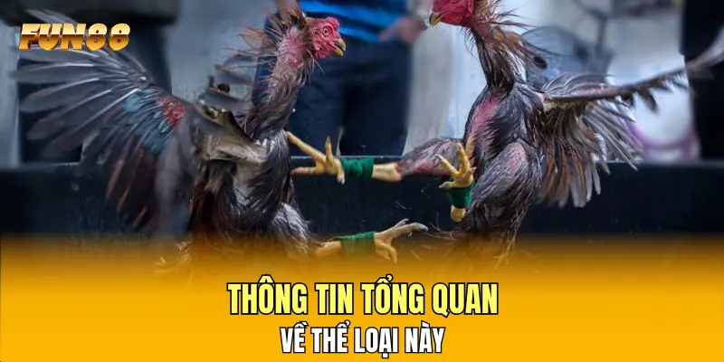 Thông tin tổng quan về thể loại này Thông tin tổng quan về thể loại này